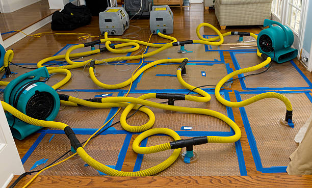 Professional Basement Flood Cleanup technician working in Aniwa, WI